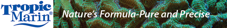 tropicmarin